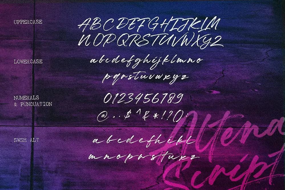 Altena Script thumbnail 4
