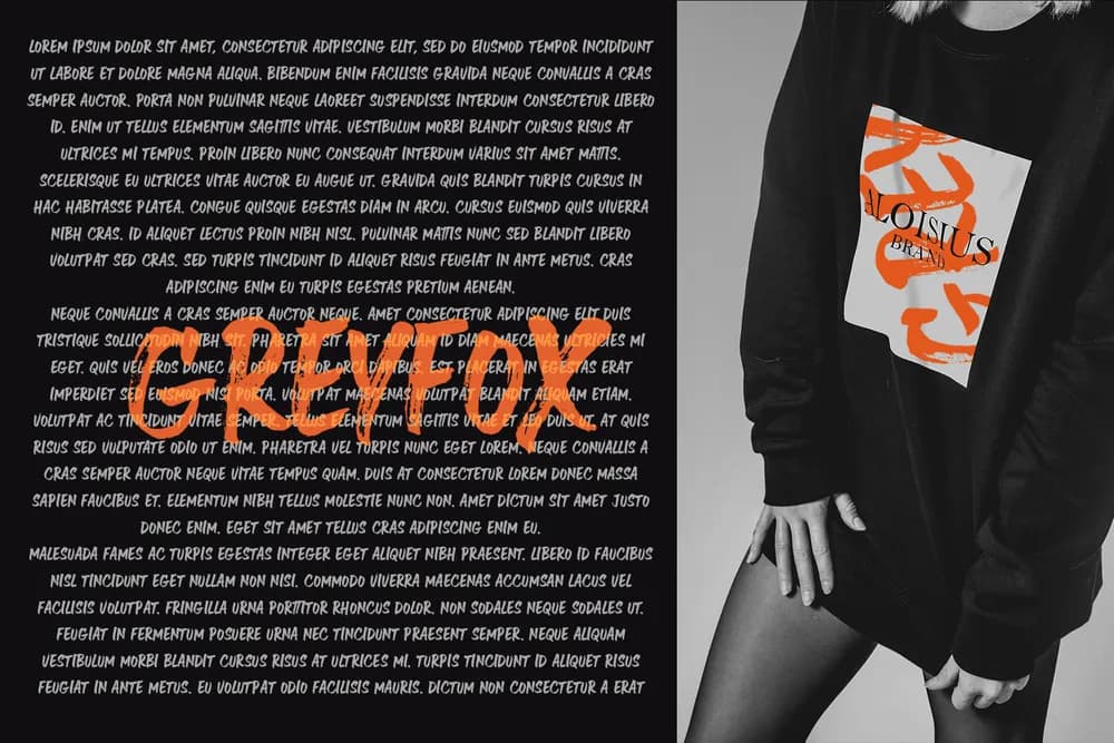 Greyfox thumbnail 2